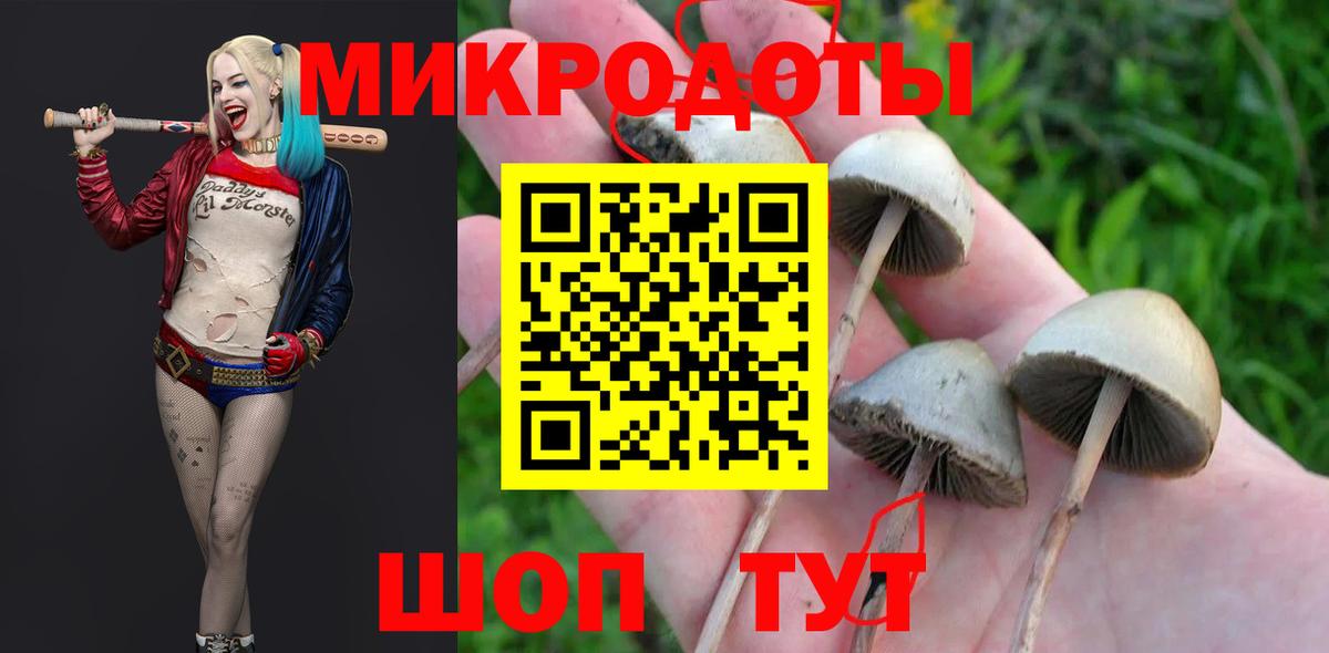 Рассказово  Галлюциногенные грибы прущие грибы  Вход с VPN 
